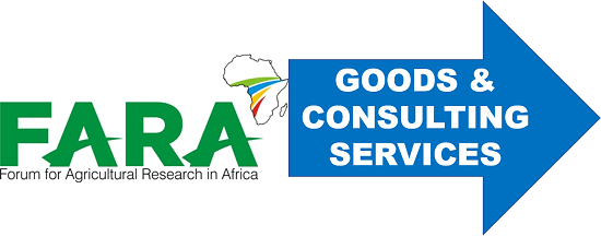 GUIDELINES FOR APPLICANTS AND CALL FOR PROPOSALS: The Impact of the African Continental Free Trade Area (AfCFTA)