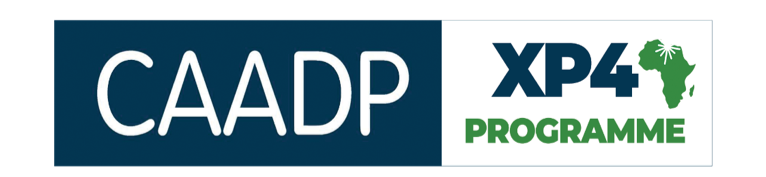 ZAMBIA’S PERFORMANCE IN THE MALABO COMMITMENTS