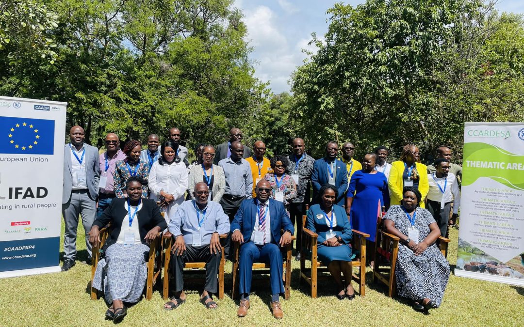 The CAADP-XP4 Programme Aids Zambia Towards Attaining the Malabo Commitments