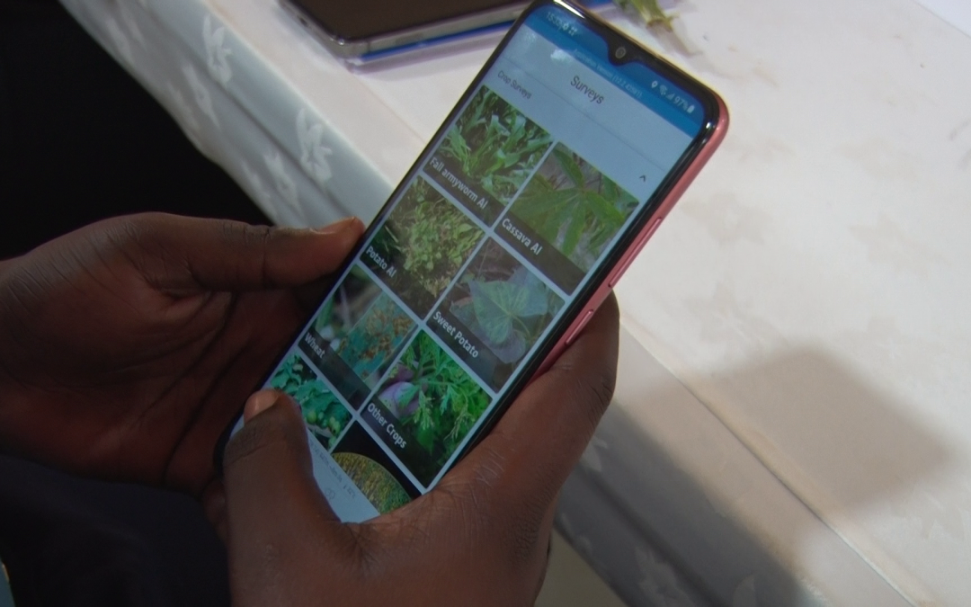 THE DEVELOPMENT OF THE PLANTVILLAGE APP