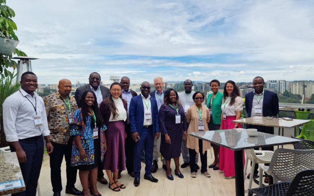 Enhancing the Soil User “Capacity to Innovate”. The primary pathway to sustainable management of African soil