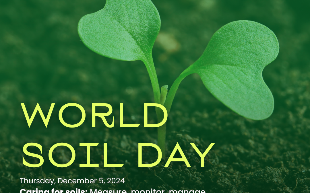 Africa makes Giant Leap in Managing its Soil for Productive Agriculture and Ecosystem Services.