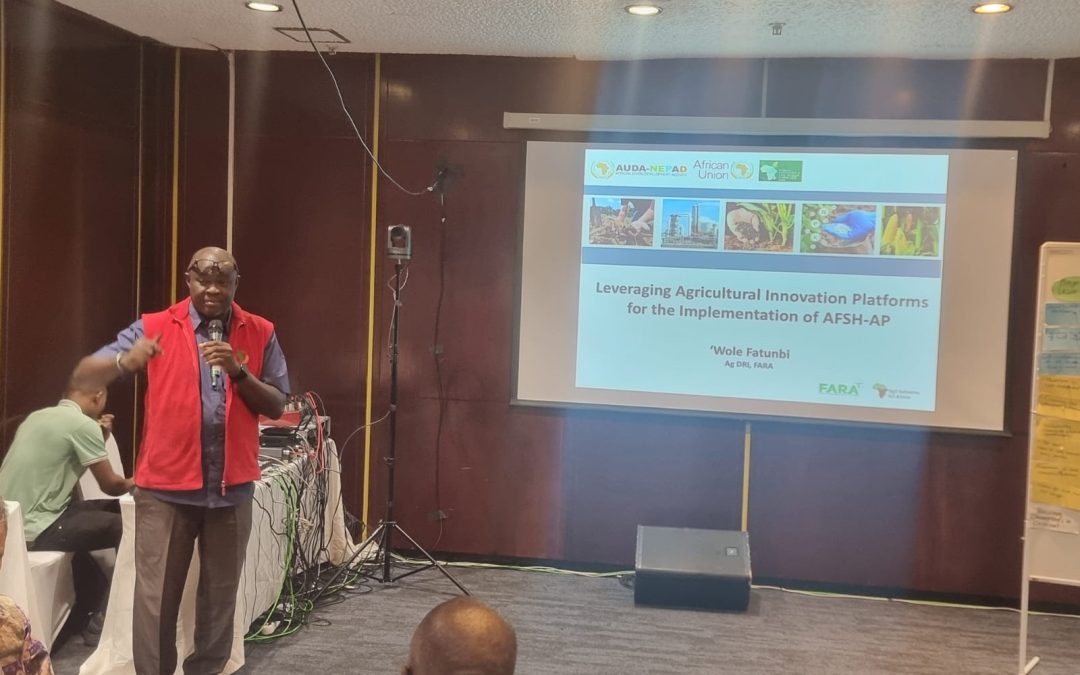 Validating the Framework for Establishing the Southern Africa Regional Hub to implement SIA and AFSH-AP.