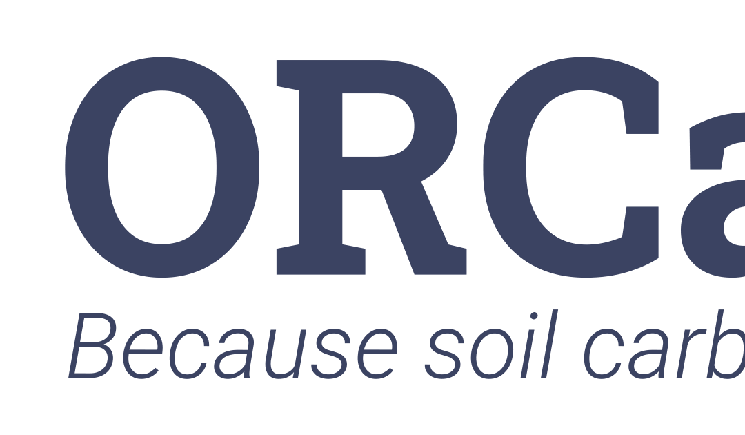 Strengthening Collaboration on Soil Carbon: A Global Dialogue for Africa’s Sustainable Future