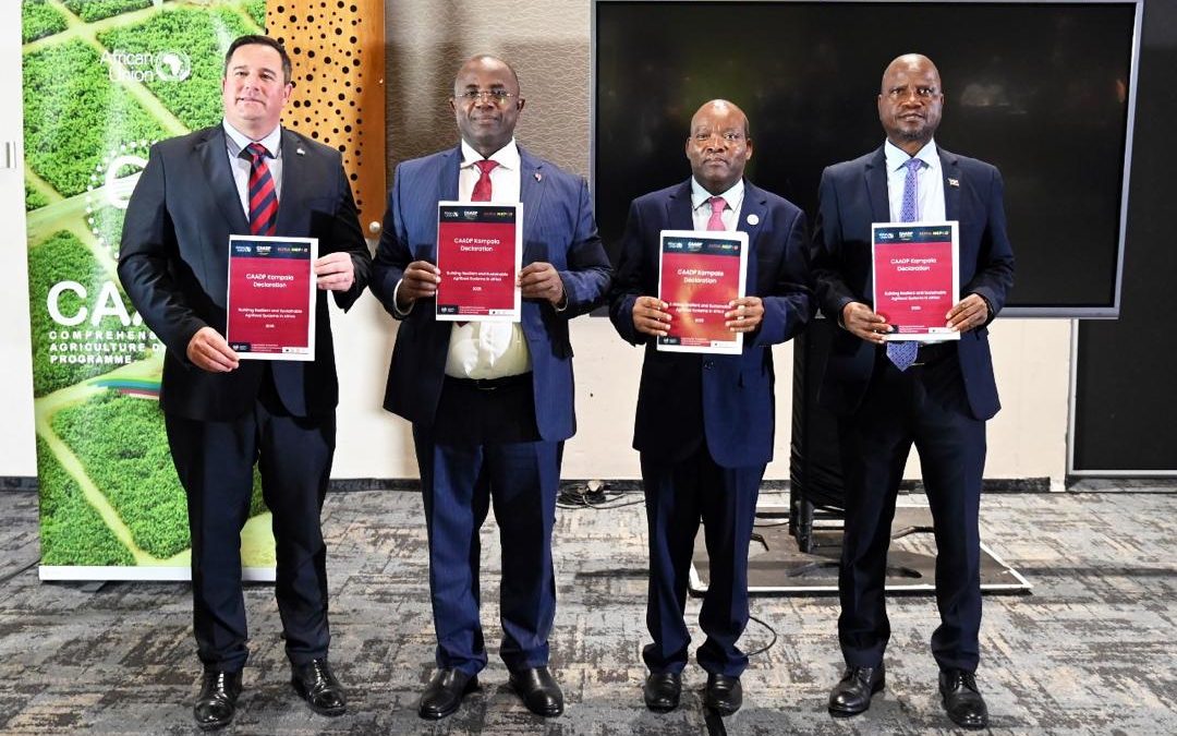 Africa Charts a New Path to Agri-Food Transformation with the Launch of the CAADP Strategy (2026–2035) and the Kampala Declaration