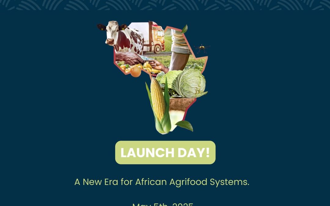 Africa Launches Bold CAADP Strategy (2026–2035) and Kampala Declaration to Drive Agri-Food Transformation